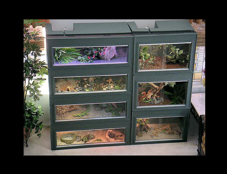 Iguana Cage Bearded Dragon Cage Plastic Cage Reptile